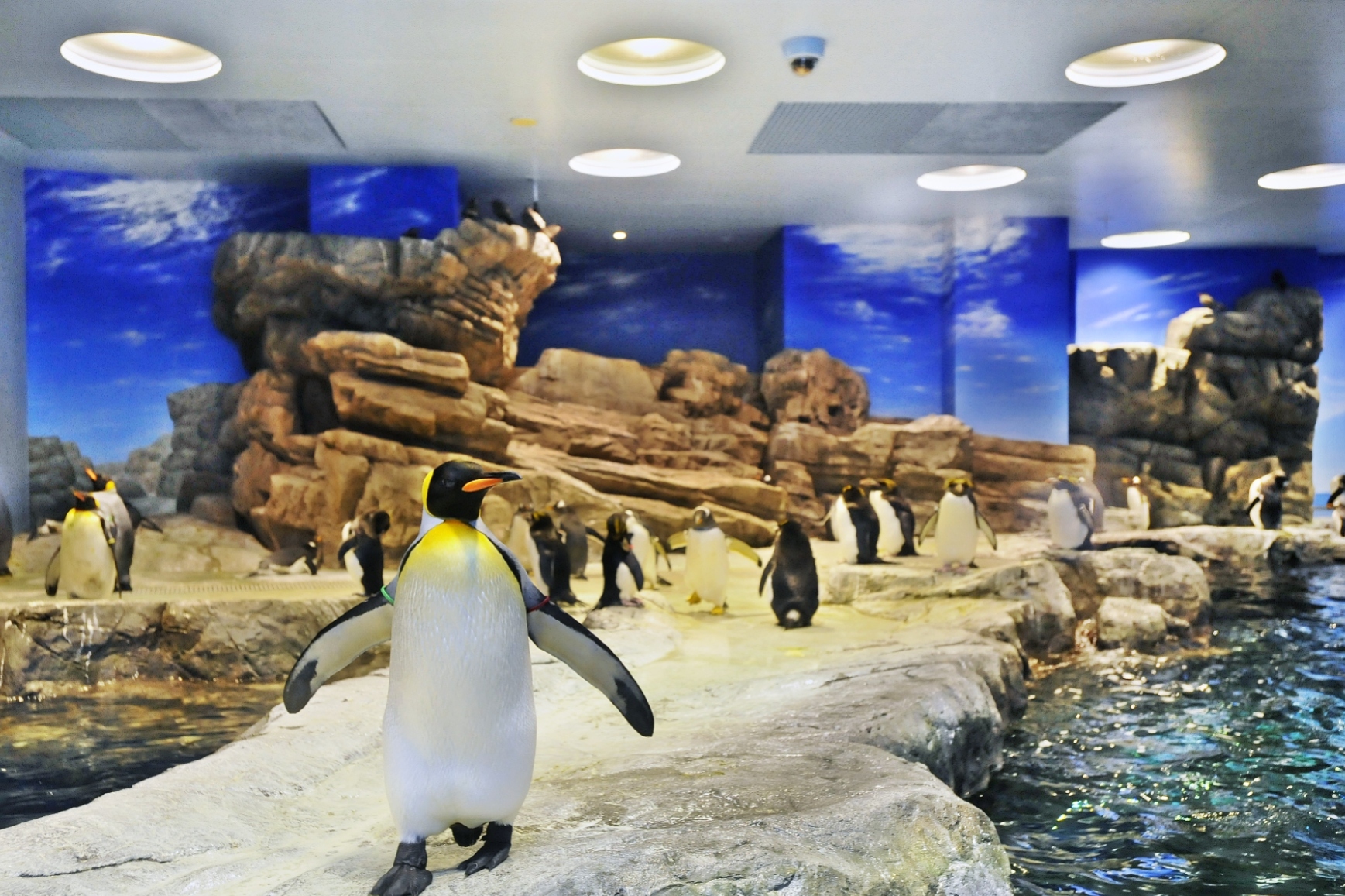 市立しものせき水族館 海響館